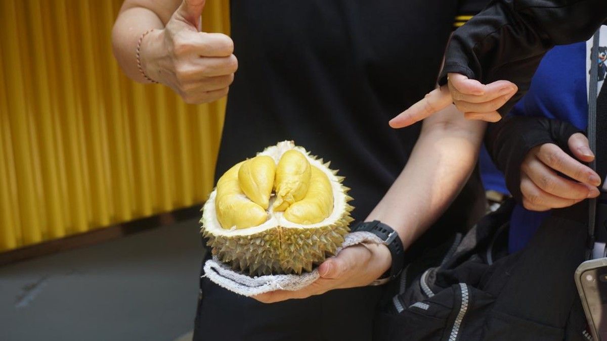 Menjelajahi Kampung Halaman Musang King di Pahang Malaysia