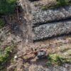 Polda Riau Selidiki Perusakan 100 Hektare Hutan Mangrove Rokan Hilir