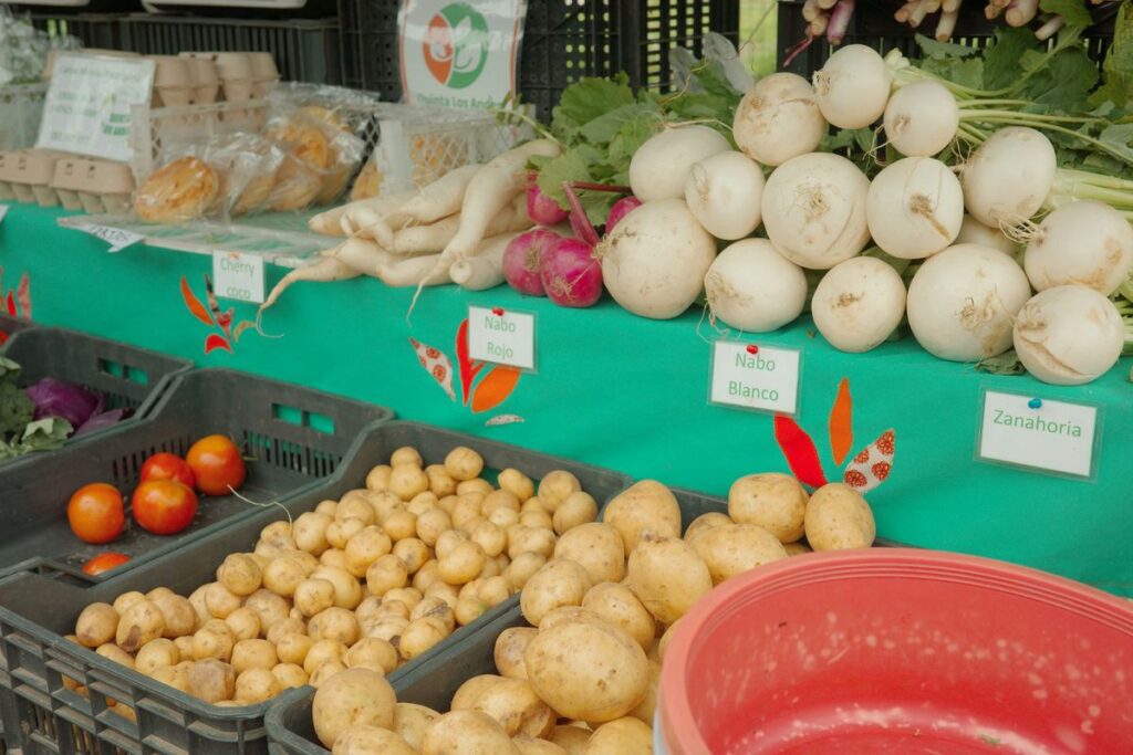 Jaringan Ritel Alfamart Gulirkan Promo Potongan Harga Besar Besaran Pertengahan Juli 2026
