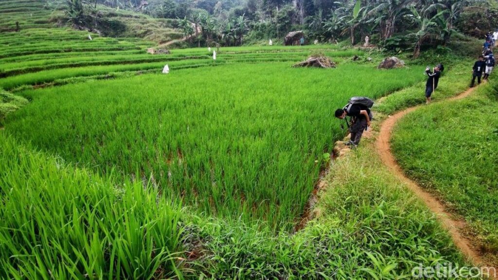 7 Rekomendasi Jalur Trekking Terbaik di Sentul