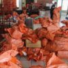 Danantara Evaluasi Pos Indonesia Terkait Dugaan Permasalahan Tata Kelola