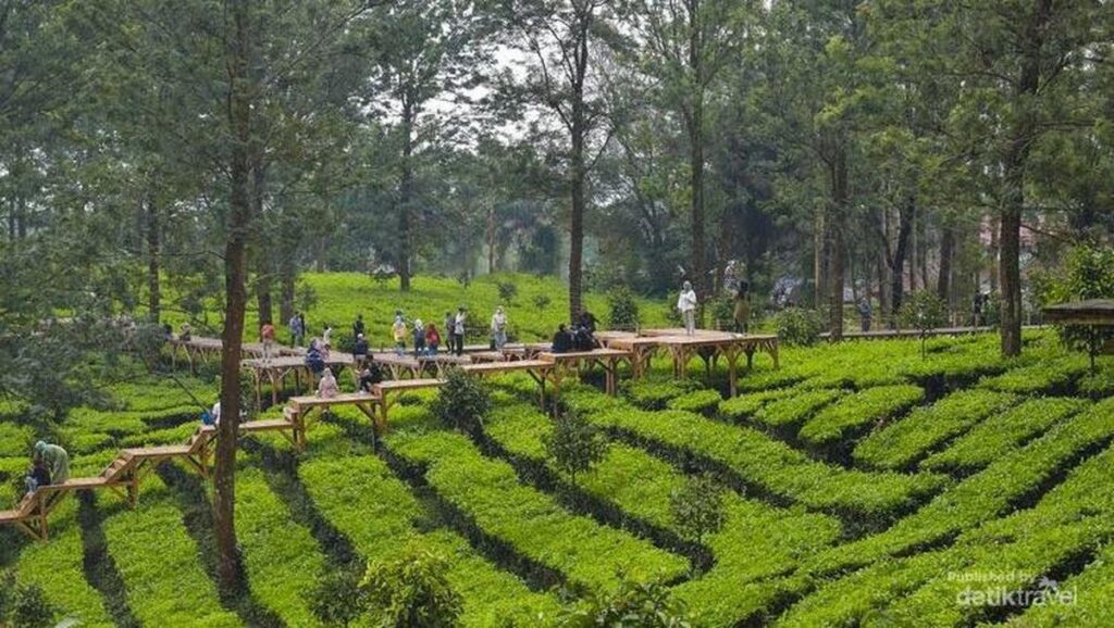 Pemkab Bogor Menata Ulang Rest Area Puncak Gunung Mas