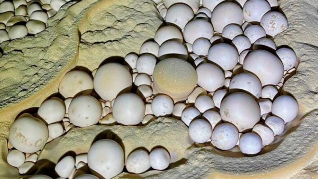 Kawasan Phong Nha-Ke Bang Simpan Mutiara Gua Langka di Victory Cave