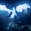 Mengenal Profesi Marine Biologist yang Kebal Gempuran Teknologi AI