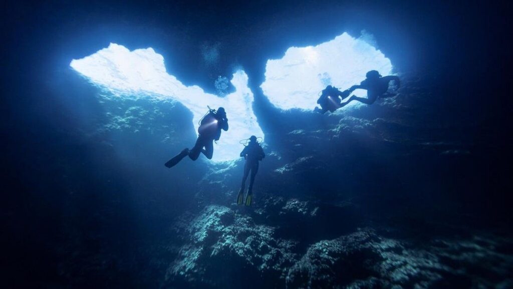 Mengenal Profesi Marine Biologist yang Kebal Gempuran Teknologi AI