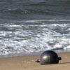 Enam Bola Logam Misterius Ditemukan Terdampar di Pantai Australia