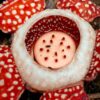 Ahli Botani Temukan Kembali Spesies Rafflesia Paling Langka di Filipina