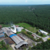 PT Agrinas Palma Nusantara Catat Surplus Operasional Rp 2,86 Triliun