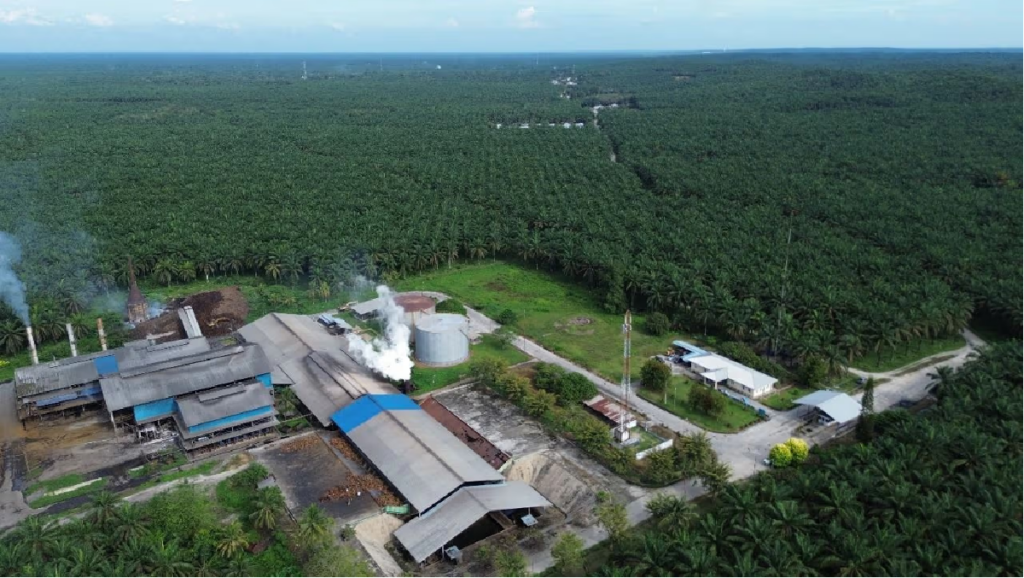PT Agrinas Palma Nusantara Catat Surplus Operasional Rp 2,86 Triliun