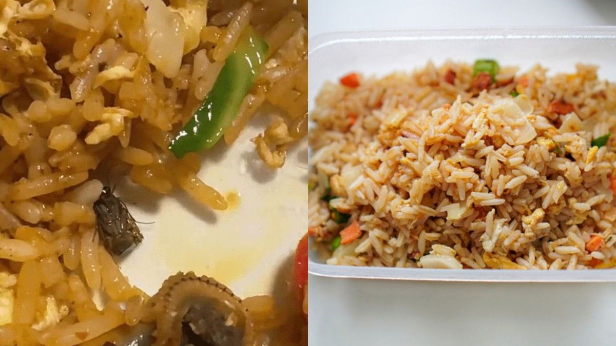 Pelanggan Temukan Duga Kecoak dalam Nasi Goreng di Singapura
