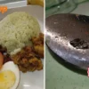 Pasien Temukan Benda Hitam Mirip Kecoak di Nasi Lemak, Rumah Sakit Beri Klarifikasi