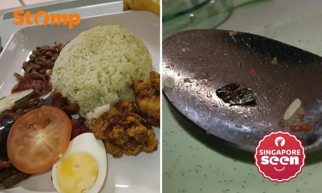 Pasien Temukan Benda Hitam Mirip Kecoak di Nasi Lemak, Rumah Sakit Beri Klarifikasi