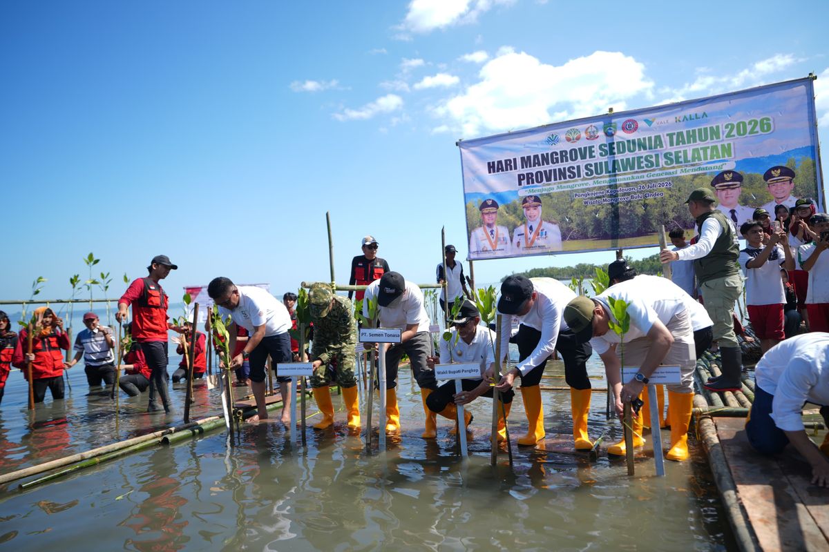 Pemerintah Lakukan Penanaman Serentak Satu Juta Bibit Mangrove