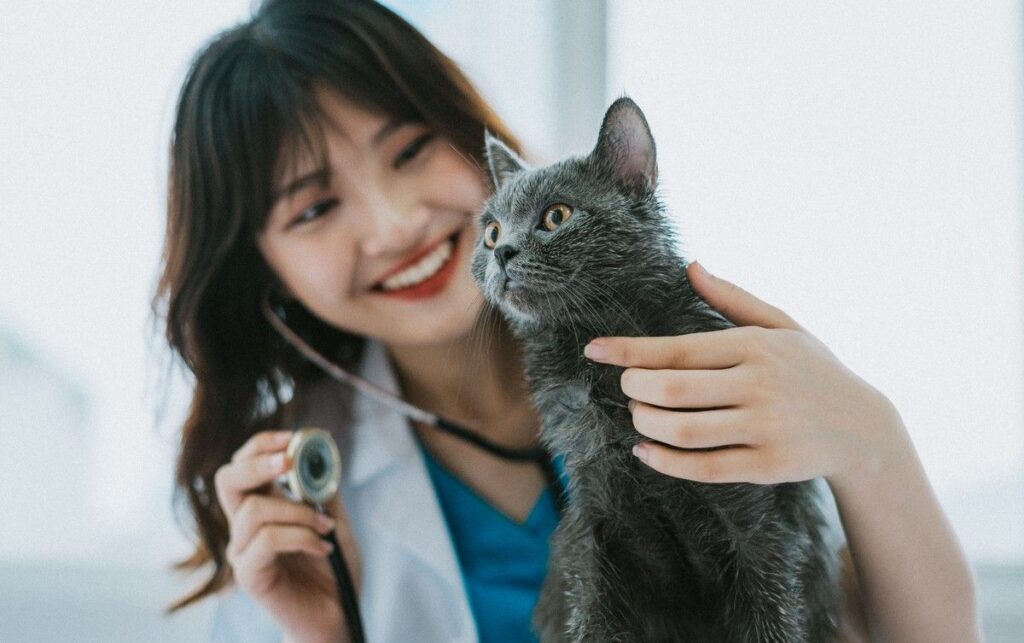Coursera Rilis 6 Pekerjaan Gaji Tinggi yang Cocok untuk Introvert