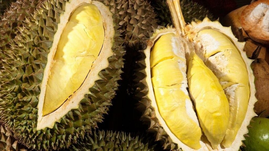 Polisi Vietnam Tangkap Pejabat Terkait Kasus Ekspor Durian
