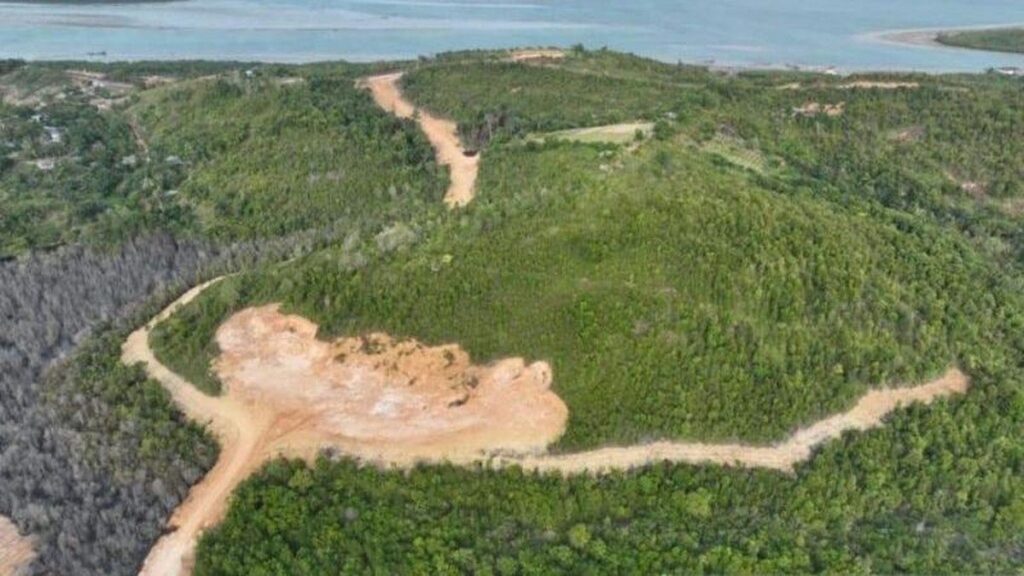 Kemenhut Tetapkan PT GTP Tersangka Perambahan Hutan Lindung Batam