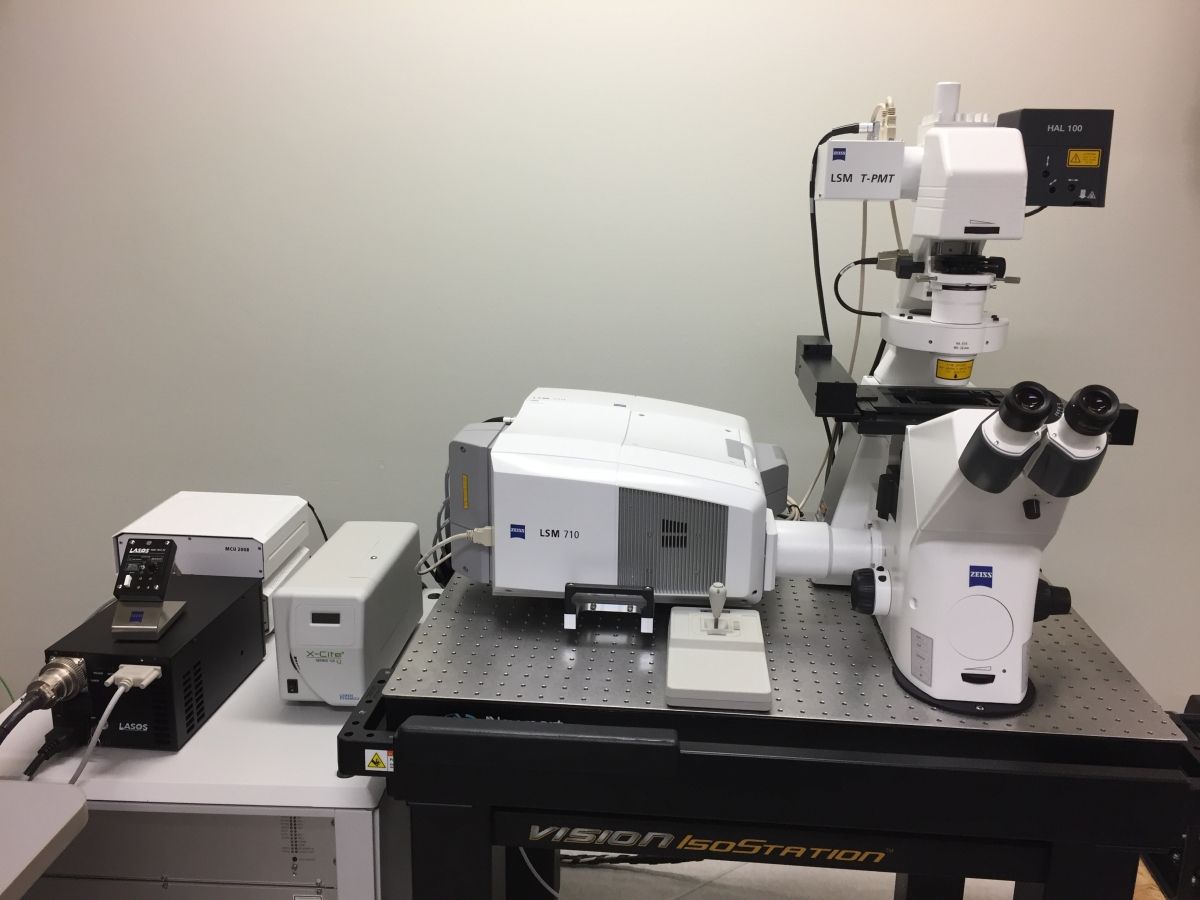 Sistem Stomata In-Sight Mampu Rekam Cara Tumbuhan Bernapas