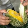 Ahli Gizi Bagikan Batas Aman Makan Durian dan Efek Kesehatannya