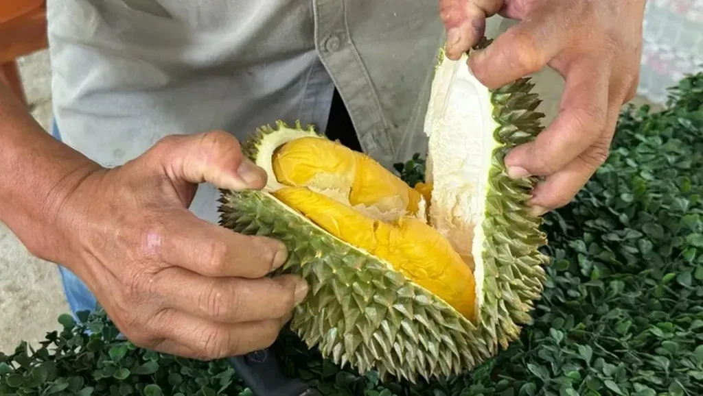 Ahli Gizi Bagikan Batas Aman Makan Durian dan Efek Kesehatannya
