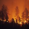 Kebakaran Hutan Prancis Paksa Evakuasi Ribuan Warga di Sainte-Marie-la-Mer