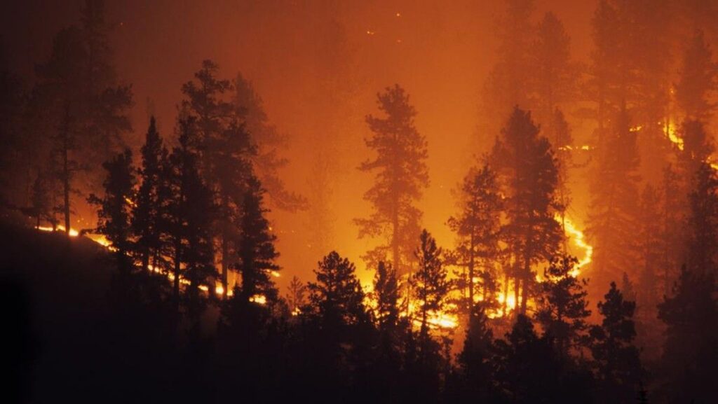 Kebakaran Hutan Prancis Paksa Evakuasi Ribuan Warga di Sainte-Marie-la-Mer