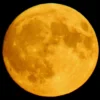 Fenomena Bulan Purnama Buck Moon Hiasi Langit Global 29 Juli 2026