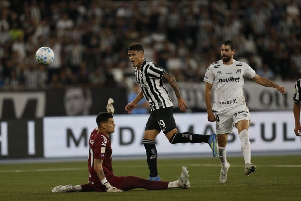 Botafogo Tekuk Santos 2-1 Lewat Gol Pemain Muda
