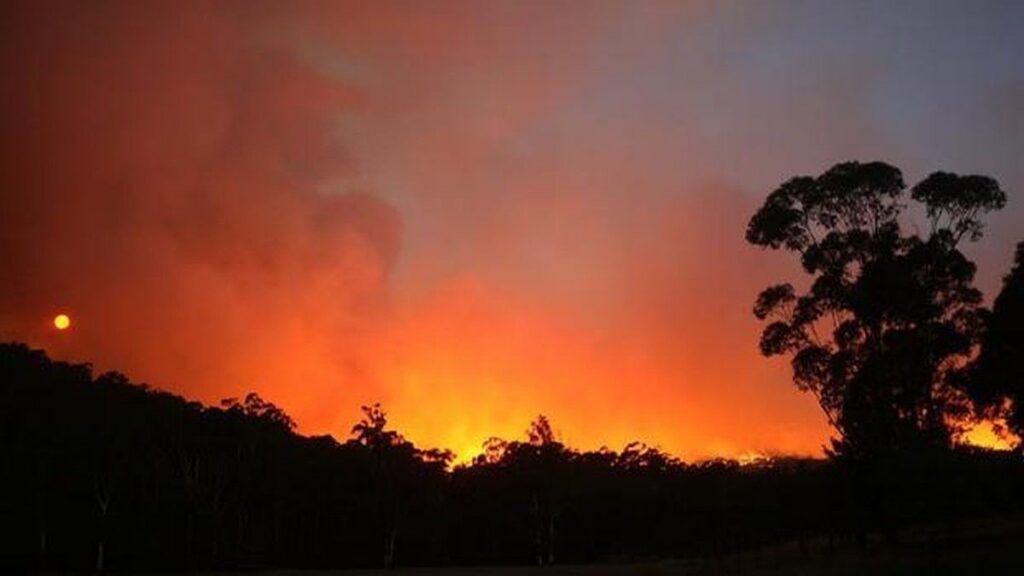 Kebakaran Hutan Black Saturday Victoria Australia Menewaskan 173 Jiwa