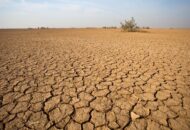 Mitigasi Karhutla Diperkuat Antisipasi El Nino Sangat Kuat