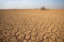 Mitigasi Karhutla Diperkuat Antisipasi El Nino Sangat Kuat