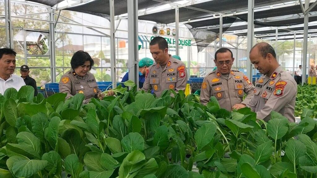 Polda Metro Jaya Panen Sayur Hidroponik untuk Program Makan Gratis