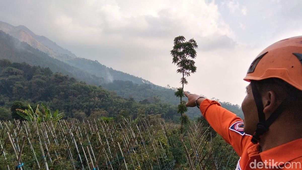 Kebakaran Hutan Melanda Gunung Andong Magelang Seluas 3,67 Hektare