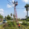 PLN Percepat Pemulihan Listrik Pascagempa di NTT dan Pulihkan Sistem Kalimantan
