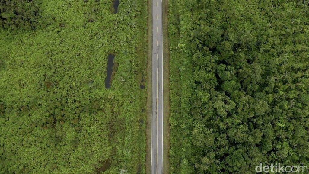 Tata Kelola Hutan dan Strategi Fisikal Indonesia