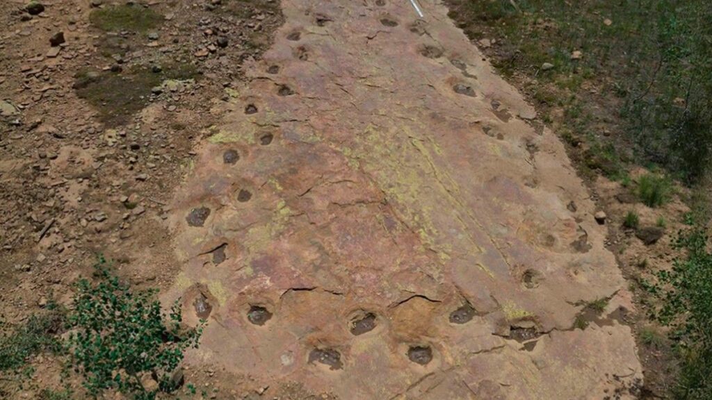 Jejak Kaki Dinosaurus Berusia 150 Juta Tahun Ditemukan di Colorado