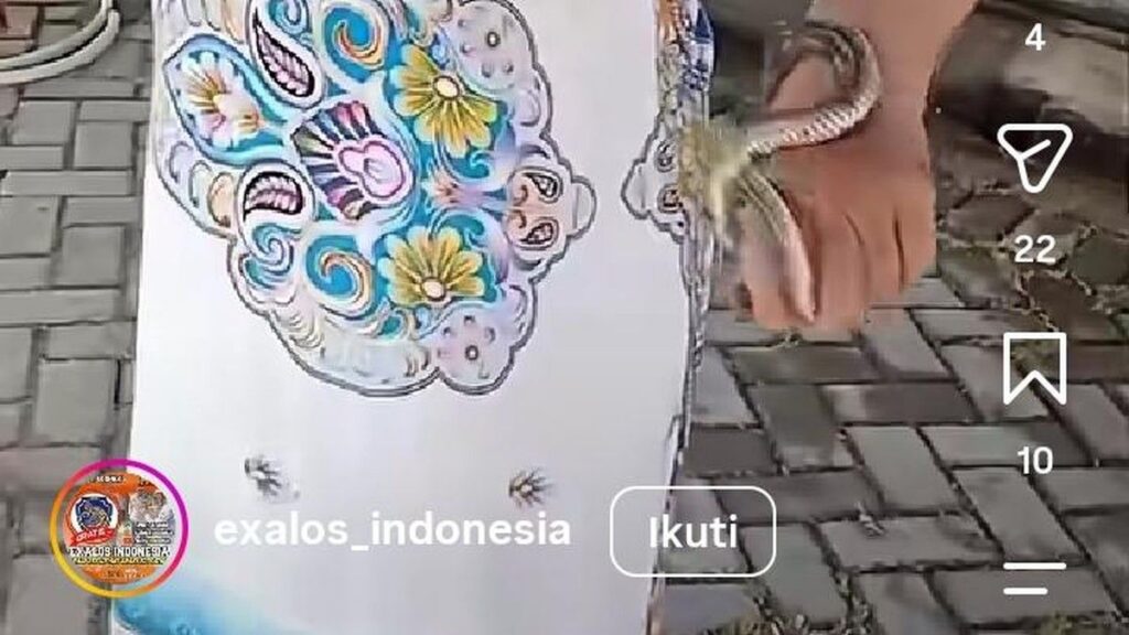Warga Boyolali Tangkap Ular Pelangi di Selokan Kompleks Perumahan