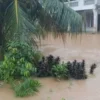 Bencana Hidrometeorologi Terjang Padang Pariaman Akses Jalan Lumpuh
