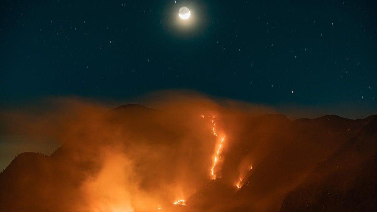 Petugas Padamkan Kebakaran di Gunung Bromo Seluas 520 Hektare