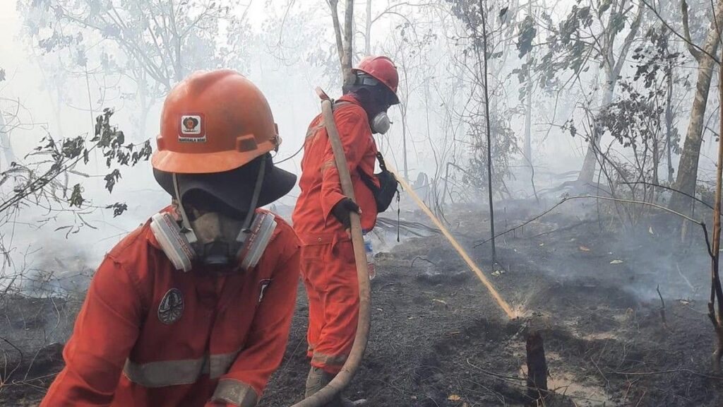 Kualitas udara Pontianak mencetak AQI 244 kategori sangat tidak sehat