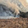 Kebakaran Bromo Padam Taman Nasional Dibuka Lagi 20 Agustus