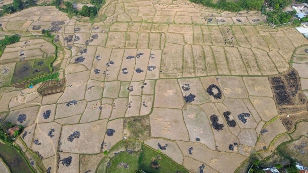BMKG Minta Warga Waspadai Potensi Kekeringan Akibat El Nino