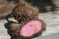 Wakapolri memimpin Upacara Hari Juang Polri di Mabes Polri