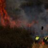 Kebakaran Hutan Terjang Turki Tiga Desa di Ayvalik Dievakuasi