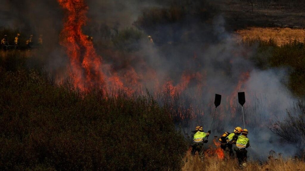 Kebakaran Hutan Terjang Turki Tiga Desa di Ayvalik Dievakuasi