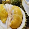 TasteAtlas Rilis Daftar Makanan Paling Bau di Dunia Berdasarkan Tingkat Aromanya