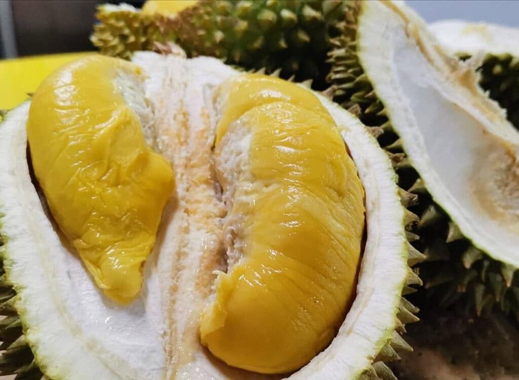 TasteAtlas Rilis Daftar Makanan Paling Bau di Dunia Berdasarkan Tingkat Aromanya