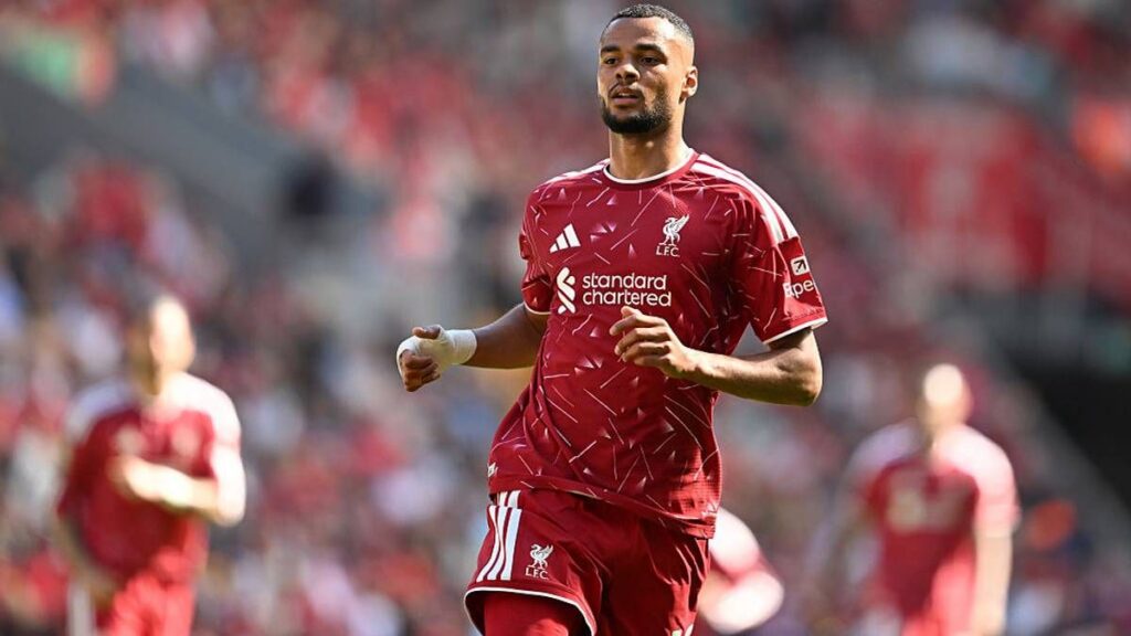 Liverpool Patok Harga Cody Gakpo Senilai 160 Juta Dolar