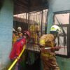 Damkar Jakarta Selatan memadamkan kebakaran gudang buku SDN Jagakarsa