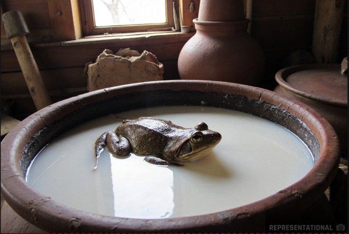 Sains Ungkap Alasan Warga Rusia Masukkan Katak Hidup ke Susu