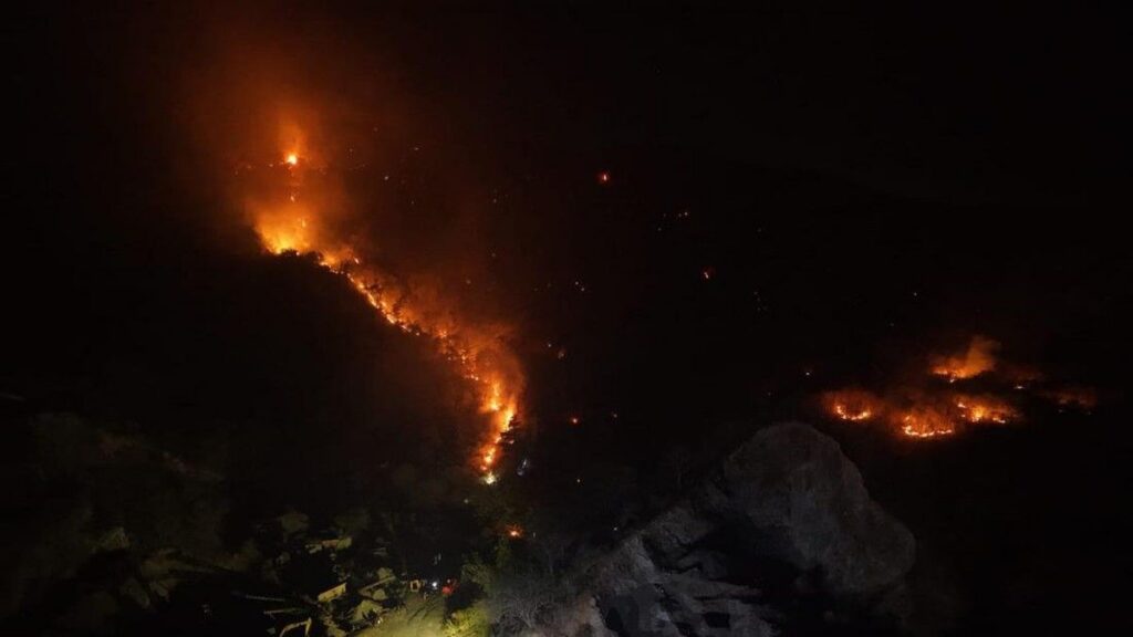 Kebakaran Hanguskan 100 Hektare Lahan di Banggai Sulawesi Tengah